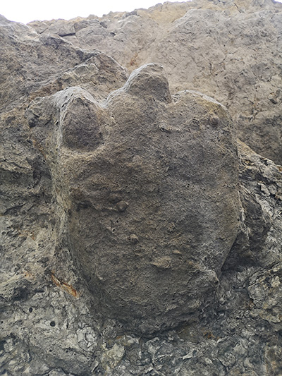 icnita-de-estegosaurio-recuperada-en-acantilados-de-llastres