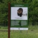 Imagen Itinerario de Naturaleza