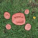 Image Taller de huellas y rastros