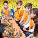 Image Taller infantil Excava y descubre