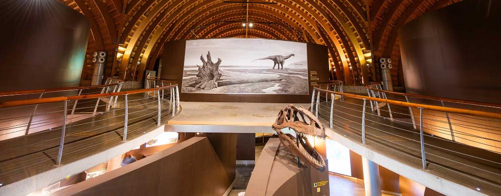 Imagen Accesibilidad