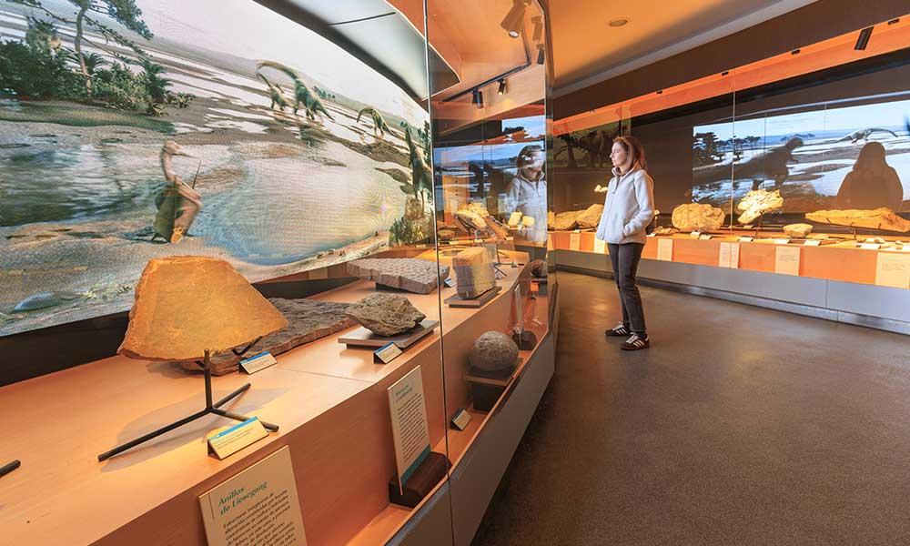 Ir a Imagen Actividades para todas las edades para celebrar el Día de la Tierra en el Museo del Jurásico de Asturias