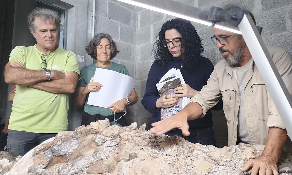 Ir a Imagen El equipo científico del MUJA avanza en los trabajos de preparación y recuperación de los restos fósiles de un gran dinosaurio saurópodo en los acantilados de Ribadesella