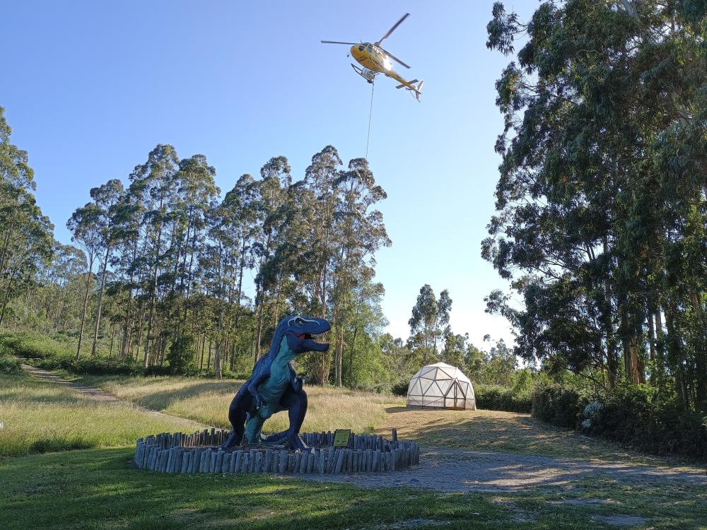 Ir a Imagen El equipo científico del MUJA recupera nuevo material fósil del dinosaurio saurópodo de Ribadesella con la ayuda del helicóptero del SEPA