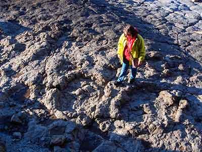 Image La Griega Beach