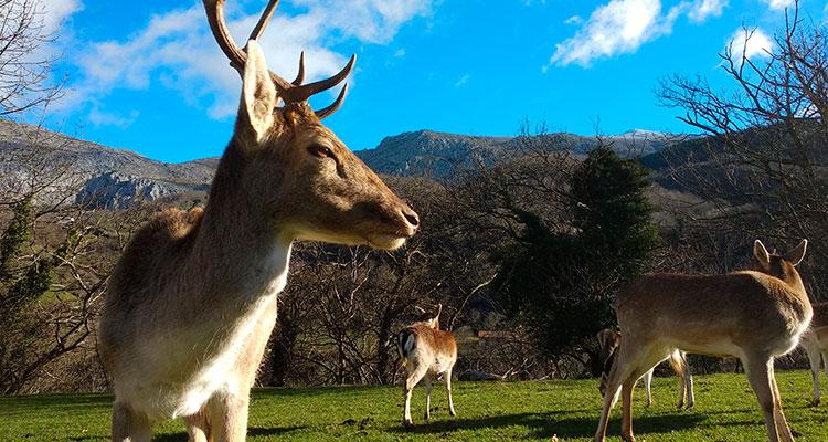Go to Image Prehistovisita y “El rincón de los inventos” en el Parque