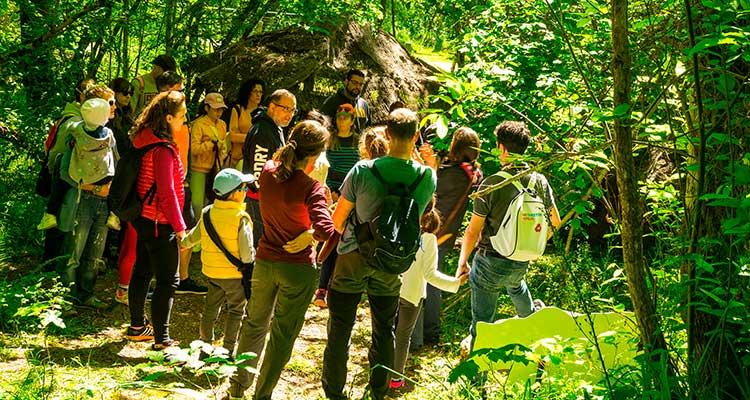 Ir a Imagen Sumérgete en el Paleolítico este fin de semana en el Parque de la Prehistoria de Teverga