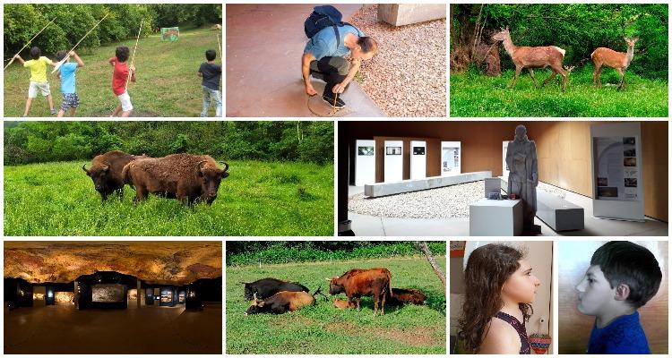 Ir a Imagen Un verano paleolítico en plena naturaleza en el Parque de la Prehistoria de Teverga