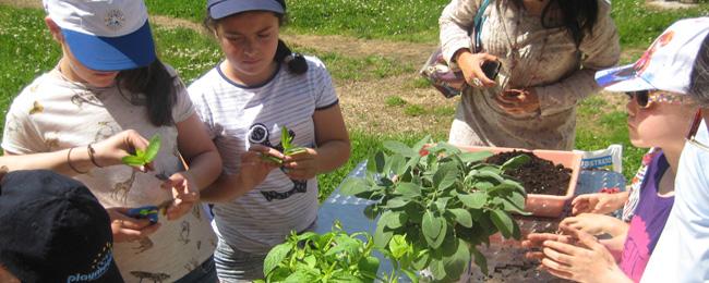 Aller à Image “El origen de la agricultura” en el Parque de la Prehistoria de Teverga