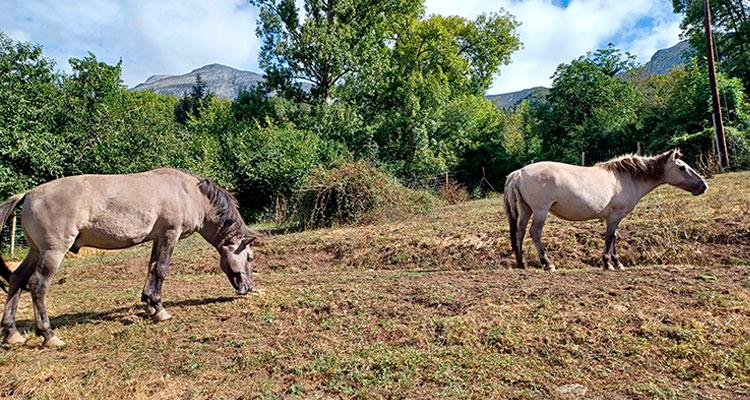 Ir a Imagen Programa para grupos escolares del Parque