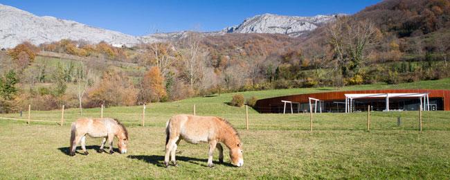 Aller à Image Semana Santa en el Parque de la Prehistoria de Teverga
