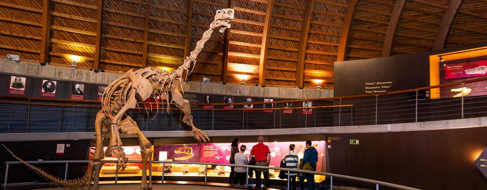 Imagen Visita individual