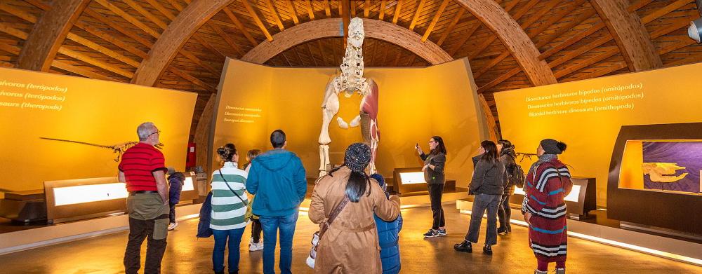 Imagen Visita en grupu