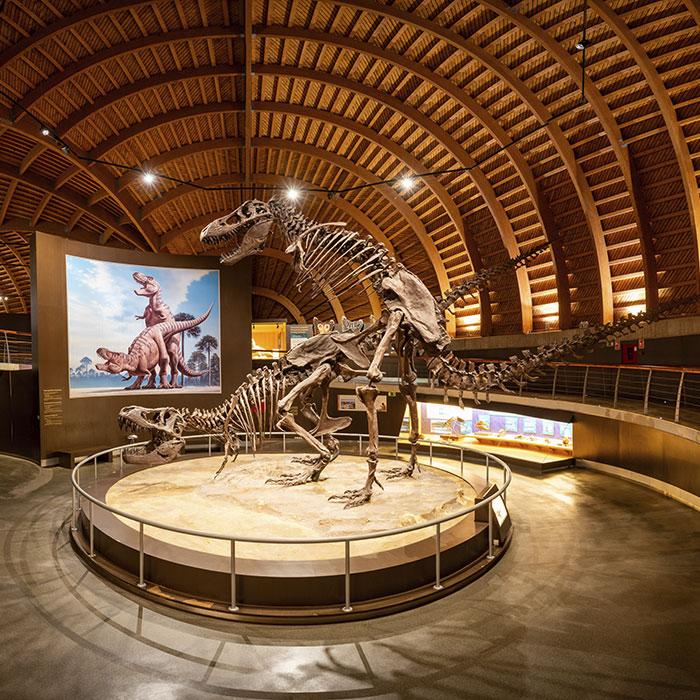 Imagen Compra d'entraes