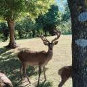 Imagem Prehistovisitas